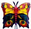 Schmetterling02