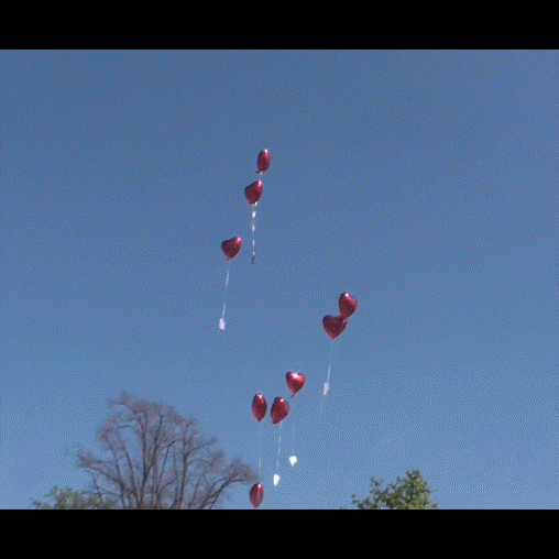 Herzluftballons steigen mit Ballonflugkarten Hochzeit auf